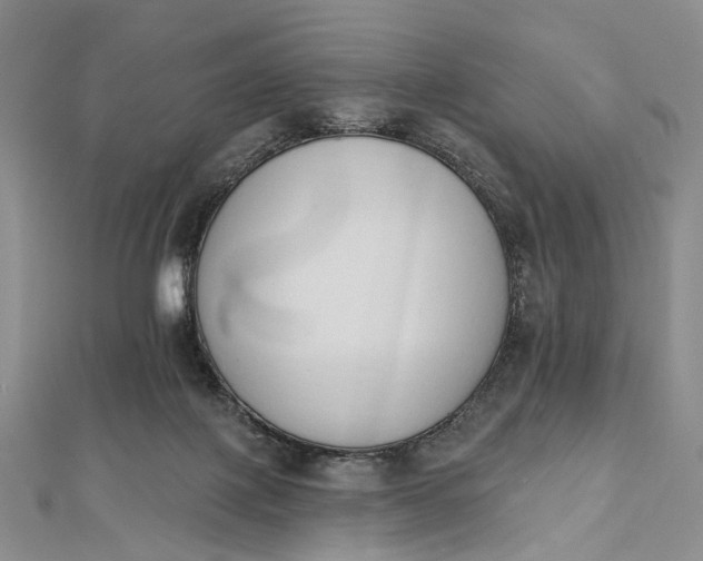 X0000112500075200908311501