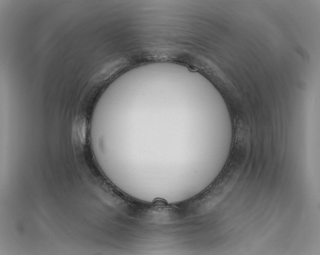 X0000112500076200908311501