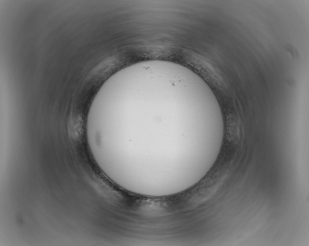 X0000112500077200908311501