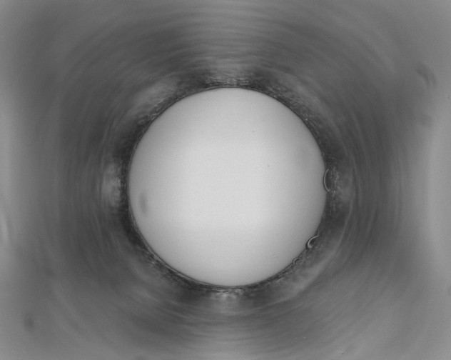 X0000112500080200908311501