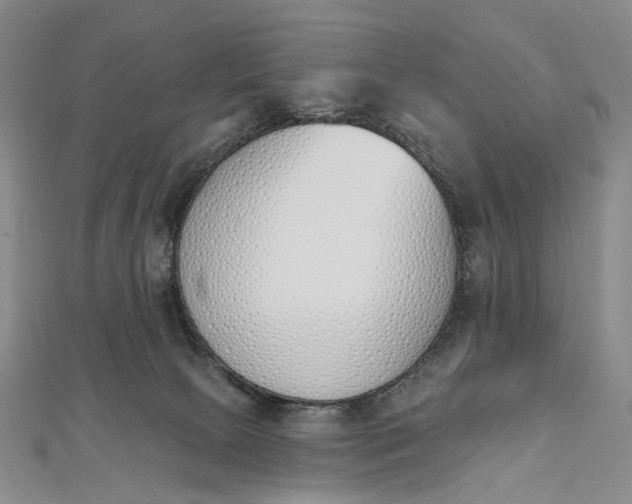 X0000112500081200908311501