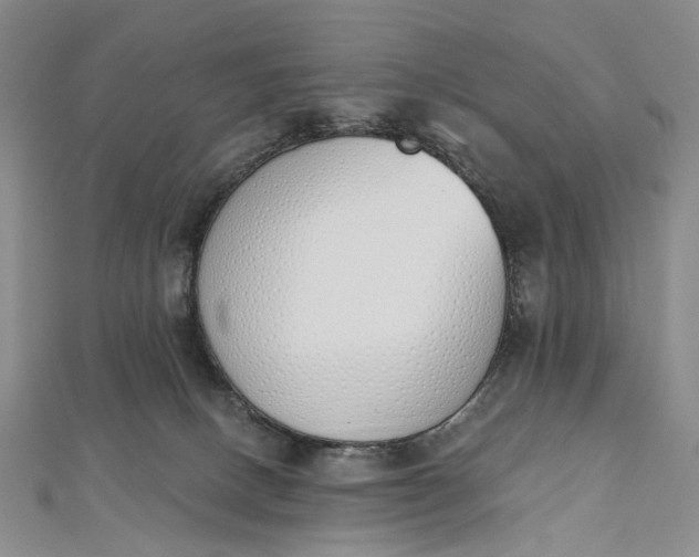 X0000112500082200908311501