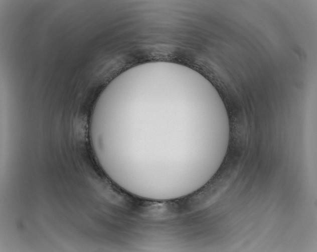 X0000112500083200908311501