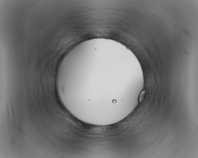 X0000112500084200908311501