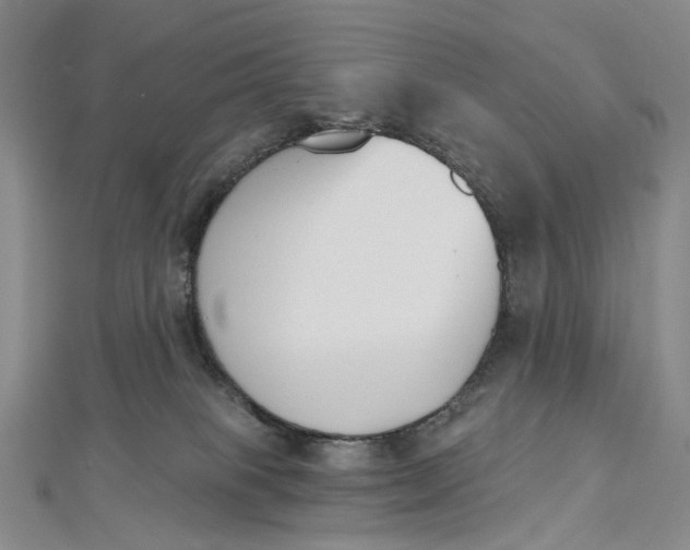 X0000112500085200908311501