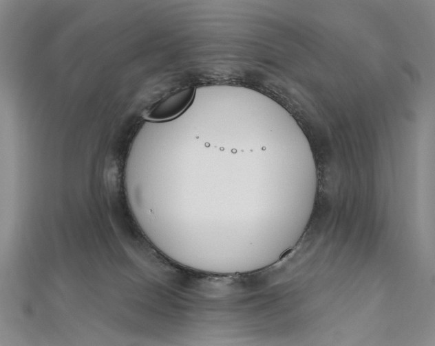 X0000112500086200908311501