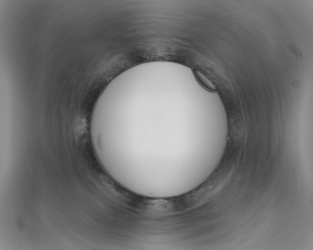 X0000112500087200908311501