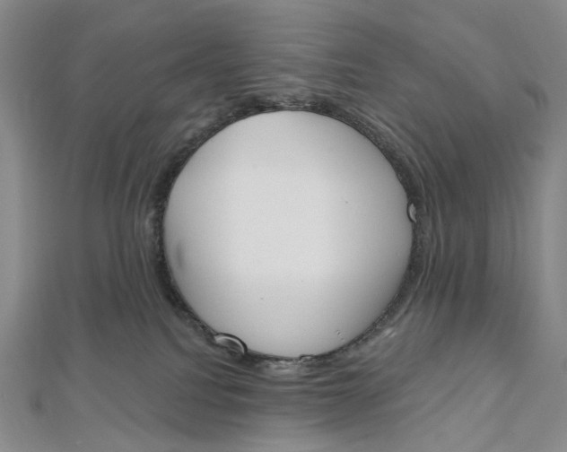 X0000112500088200908311501