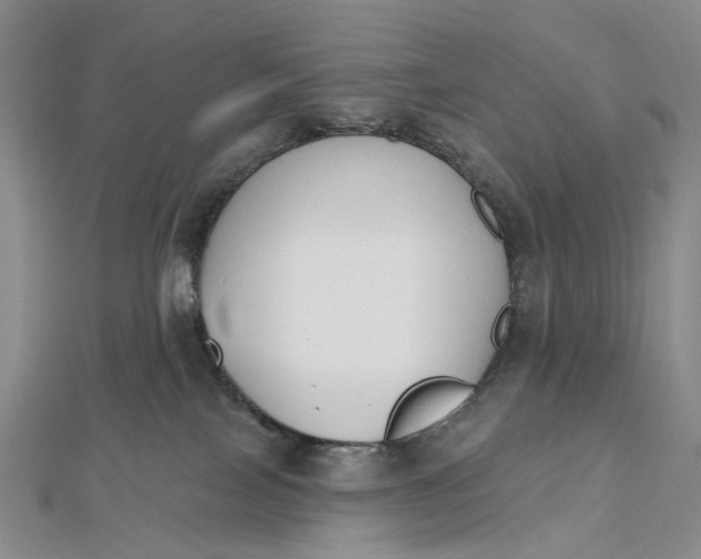 X0000112500089200908311501