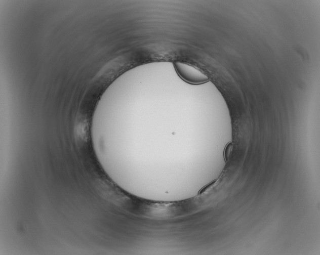 X0000112500090200908311501