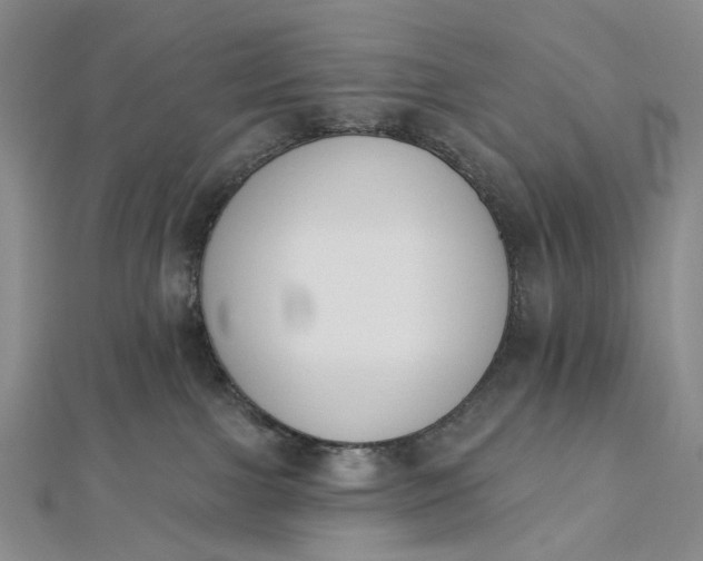 X0000112500091200908311501