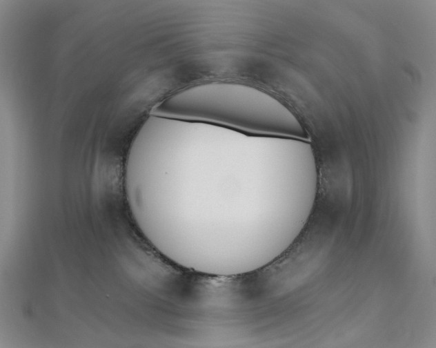 X0000112500092200908311501