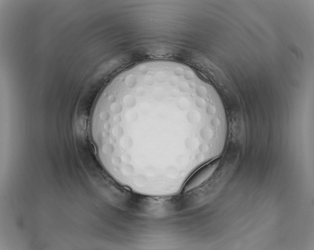 X0000112500093200908311501