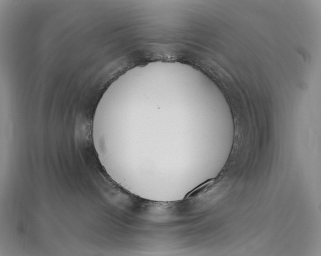 X0000112500096200908311501