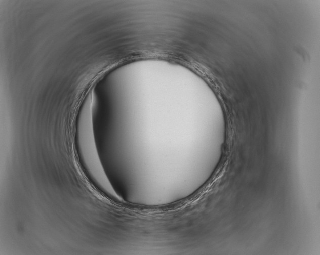 X0000112500097200908311501