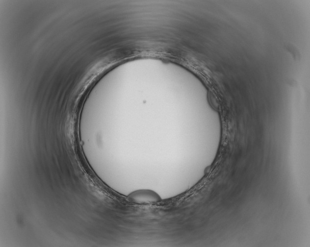 X0000112500098200908311501