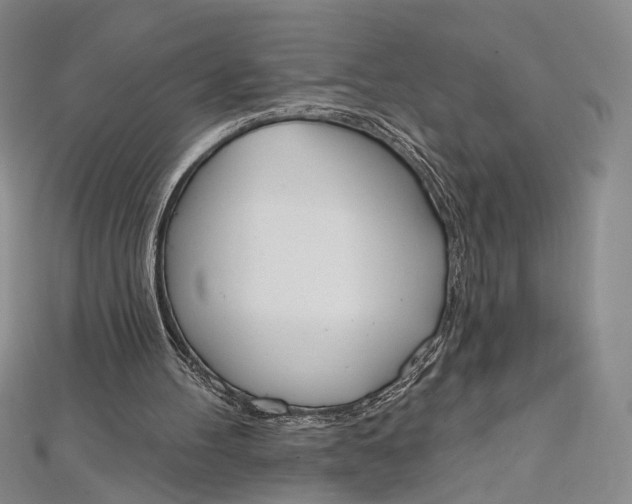 X0000112500100200908311501