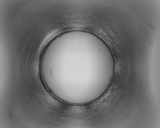 X0000112500101200908311501