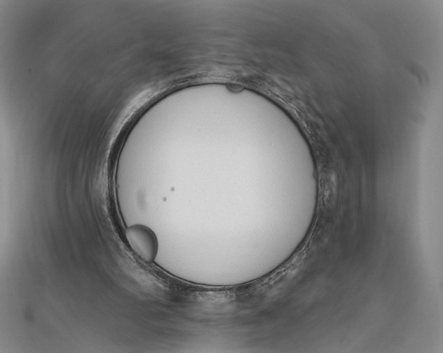 X0000112500102200908311501