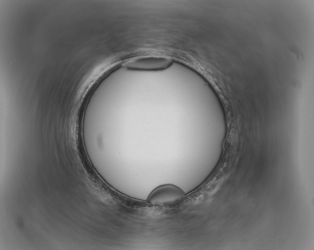 X0000112500103200908311501