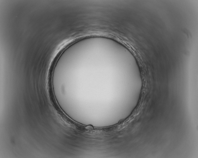 X0000112500104200908311501