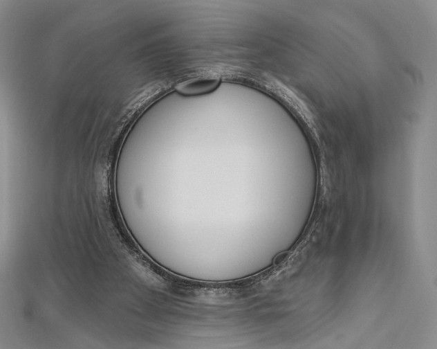 X0000112500105200908311501