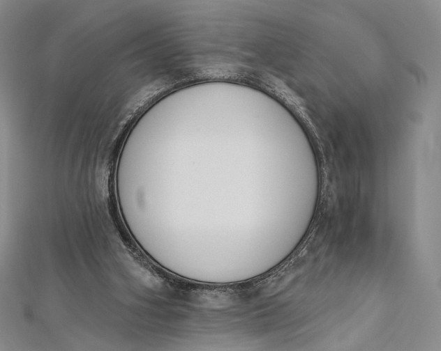 X0000112500106200908311501