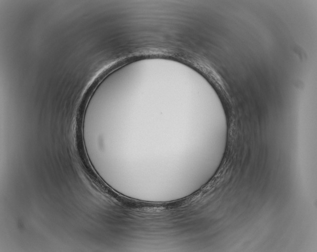 X0000112500108200908311501