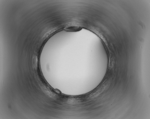 X0000112500109200908311501