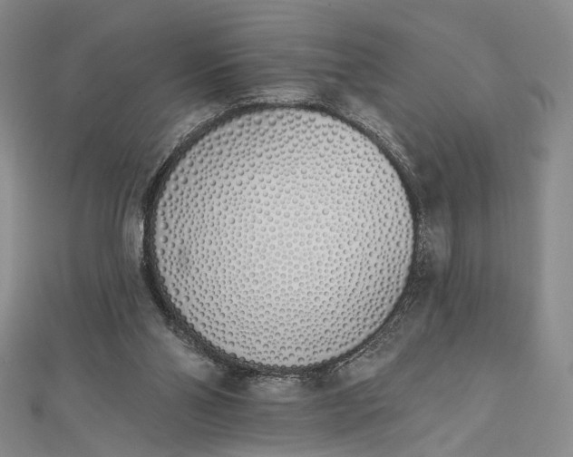 X0000112500110200908311500