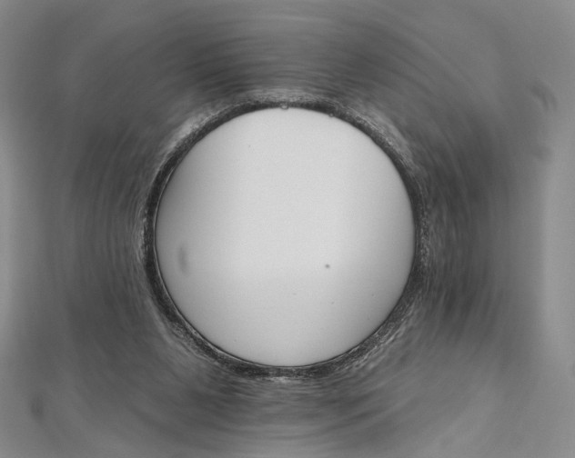 X0000112500111200908311500