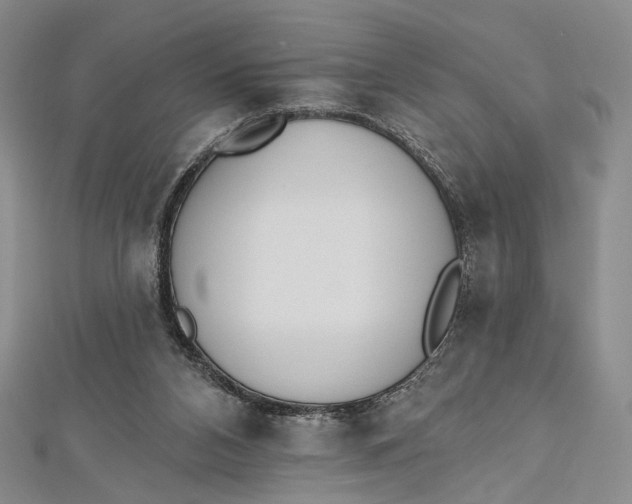 X0000112500112200908311500