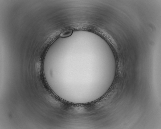 X0000112500113200908311500