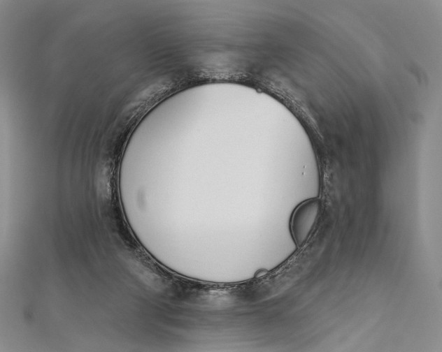 X0000112500114200908311500