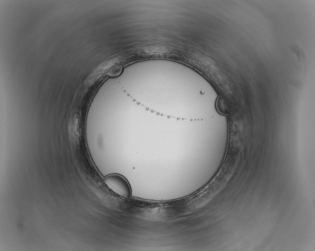 X0000112500116200908311500