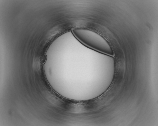 X0000112500120200908311500