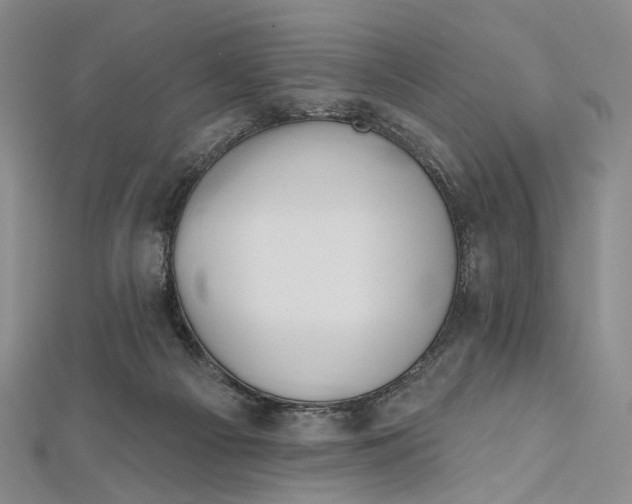 X0000112500121200908311500