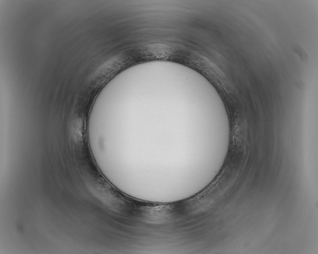 X0000112500122200908311500