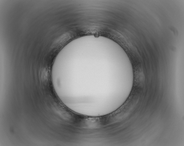 X0000112500126200908311500