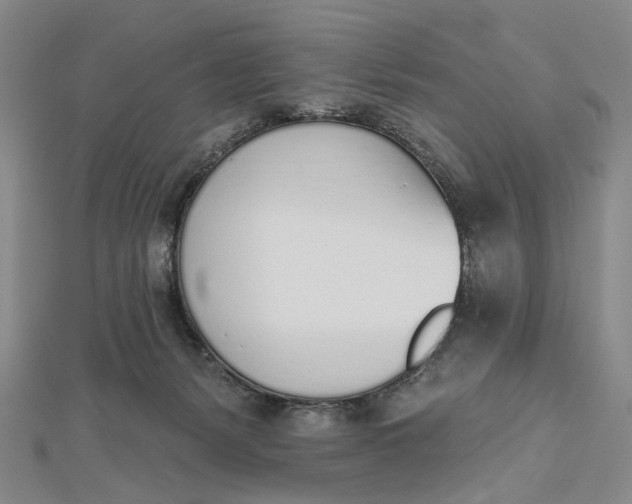 X0000112500127200908311500