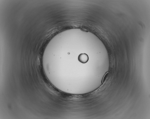 X0000112500128200908311500