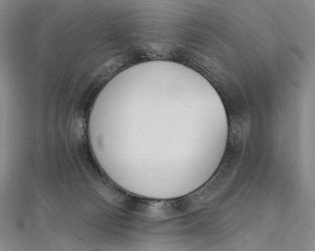 X0000112500130200908311500