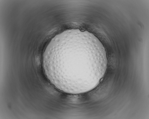 X0000112500131200908311500