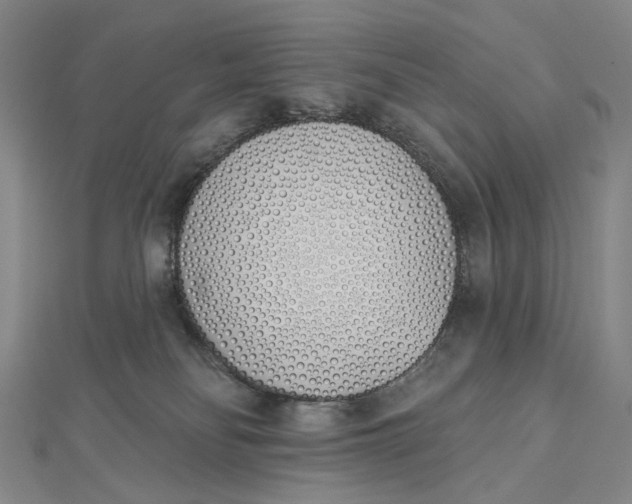 X0000112500134200908311500