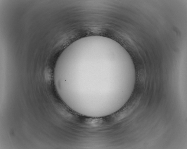 X0000112500135200908311500