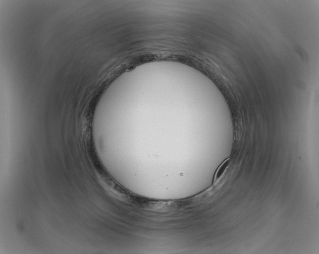 X0000112500136200908311500