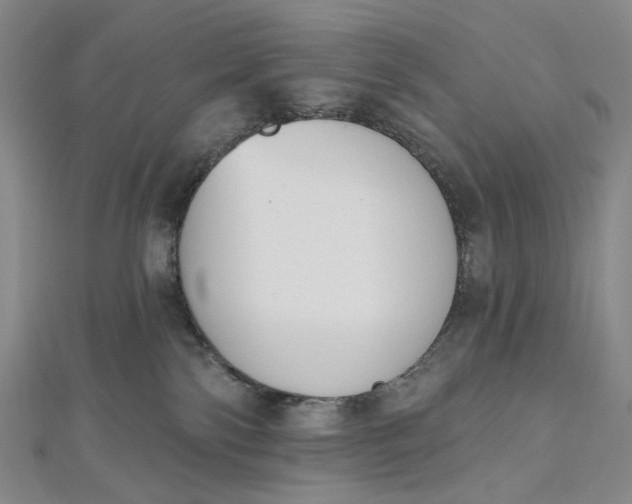 X0000112500138200908311500