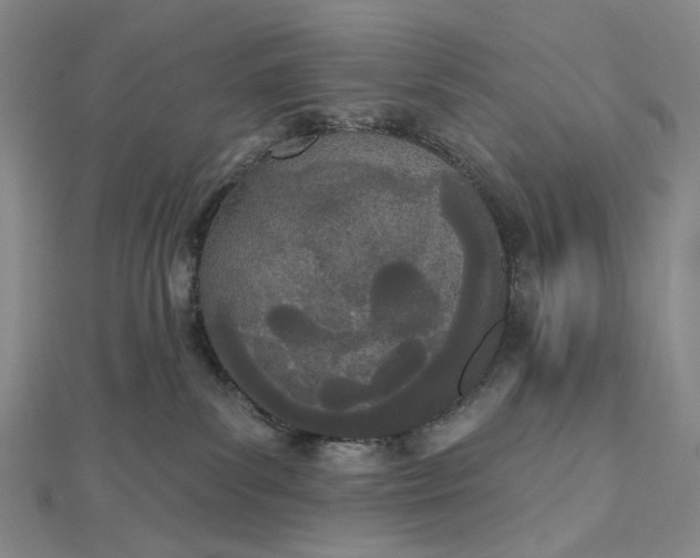 X0000112500139200908311500