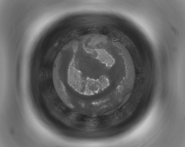 X0000112500143200908311500