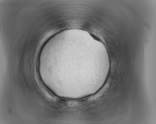 X0000112500145200908311459